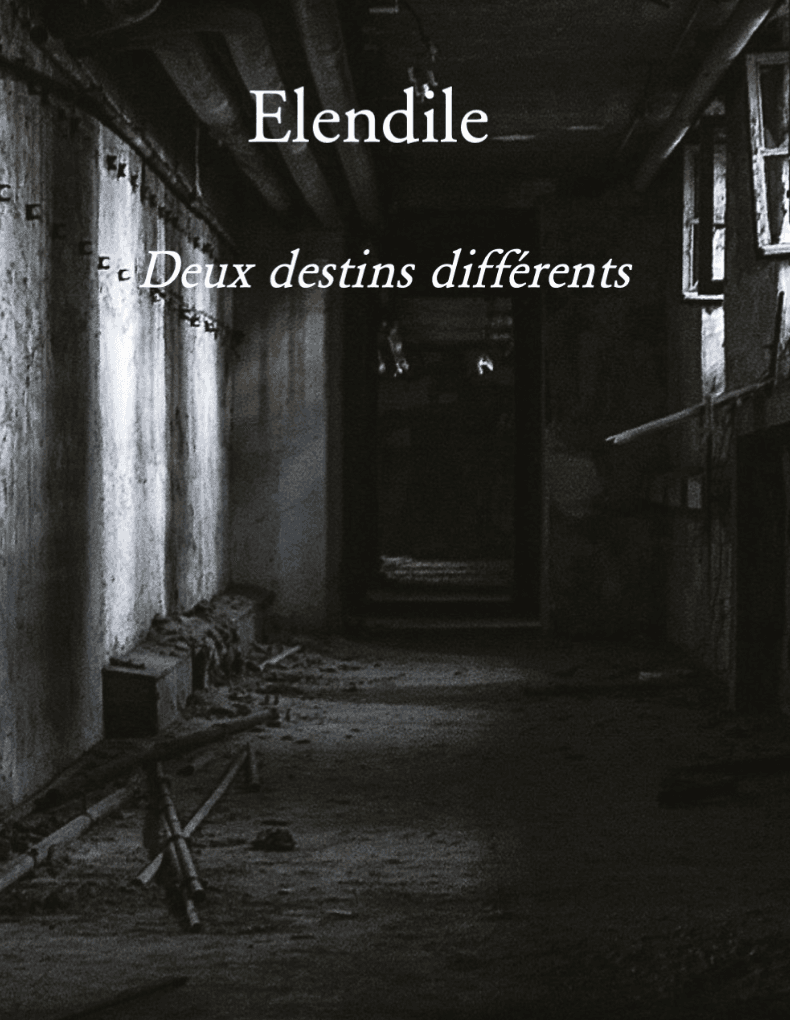 Couverture : Elendile — Deux destins différents
